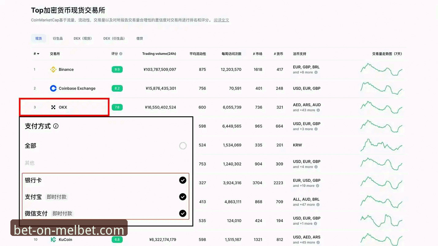 资深用户手把手教你搞定Melbet手机版官网登录必备全流程